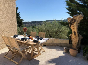 Mas provençal La Serallère au coeur des oliviers